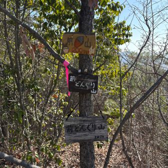 どんぐり三兄弟、前どんぐり山