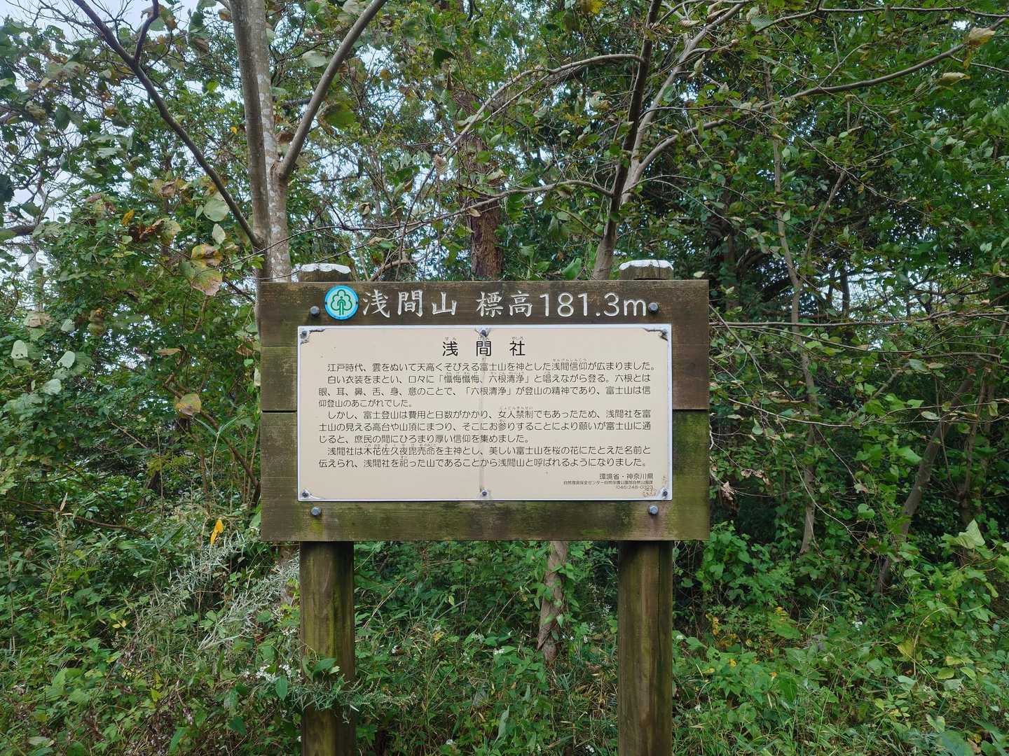 浅間山-高麗山 往復コースの写真