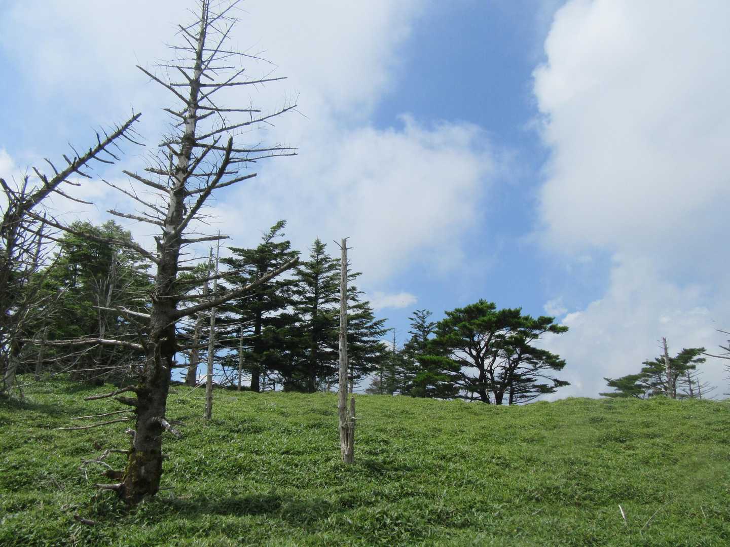 丸笹山-赤帽子山 周回コースの写真
