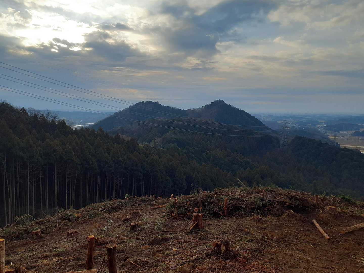 伐採された所から、男抱山と女抱山⛰️⛰️