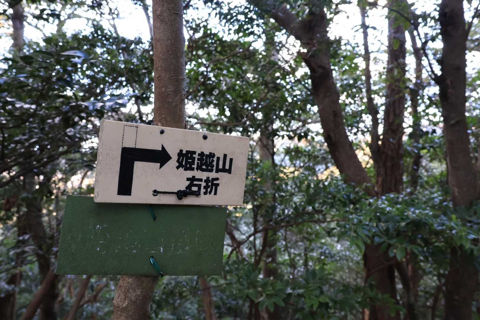 ここを右に👉