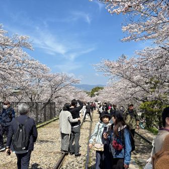 早朝と違って賑わってる