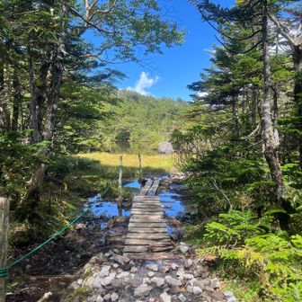 7ツ池へ寄り道。
