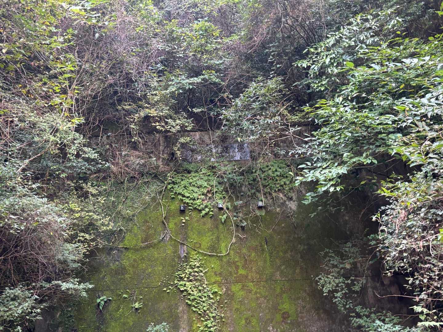 昔のトンネル跡かな？？？