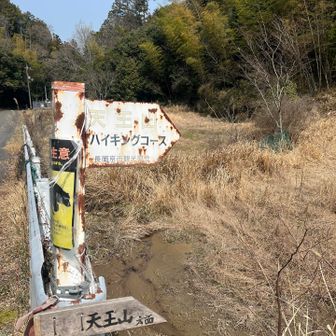 さあ、もう一息