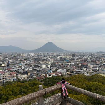香川県は低いながらも個性的な山が目についた