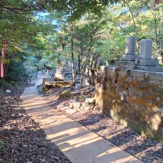若王子山(にゃくおうじやま)の山頂に立ち寄ると、墓地に出た。
「同志社共葬墓地」とある。