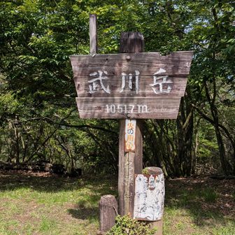 武川岳は開けているが展望無し。電波も無し。