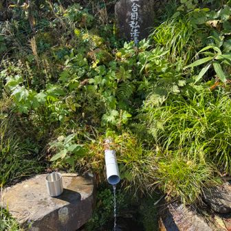弘法清水。冷たくておいしかった。