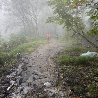 まもなく下山完了！
ドロドロの今の道は
朝イチでトレラン集団が
通過した跡らしい😱
怪我しなかったのだろうか