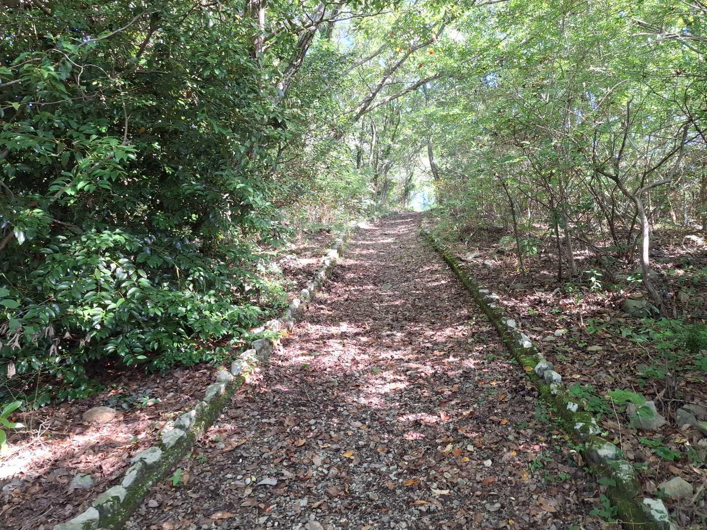 【登山道】
・さすが、瀬戸内海国立公園の一つ。完璧な登山道。
・（小西和（こにし かなう）ももっと有名になって欲しい…https://www.sanuki.ne.jp/rekimin/konisikanae.html）