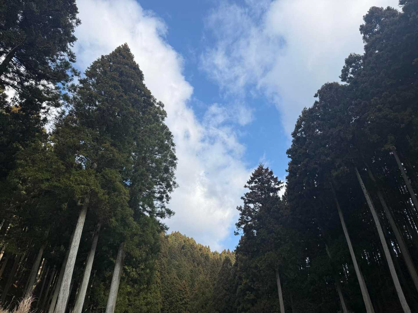北側駐車場から周回ルートで登ります。駐車可能台数は20台程度