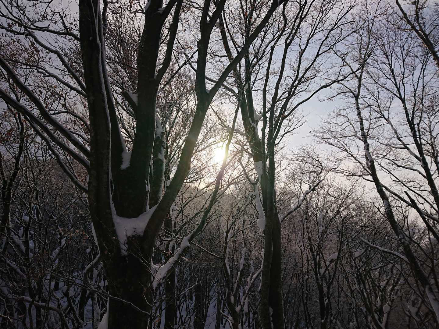 日差しがまぶしい