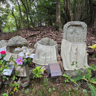 並んだお地蔵さんの間に
木彫りのお地蔵さんがいらっしゃった✨