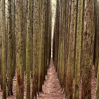 右回りのはずが、左回りできたみたい😆

綺麗に並んでおります！！