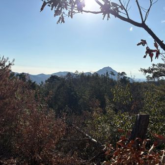 山頂からの景色
金華山方面