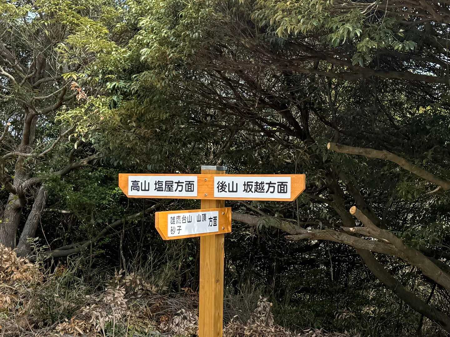 雄鷹台山登山口-雄鷹台山-後山-高山 縦走コースの写真