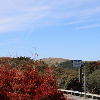 こんな遅い時間から登るので時間になったら下山です