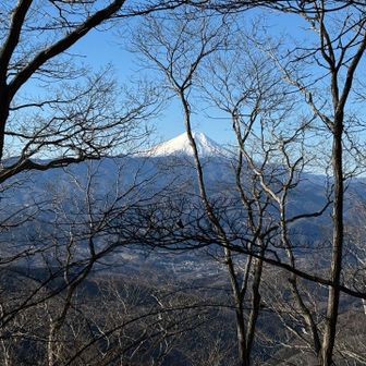 まだ富士山がみえます