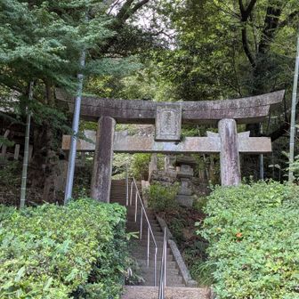 トライアルでおにぎり🍙買って、向い側の森🌳らしき場所へ歩きます。
原田山は神社でした