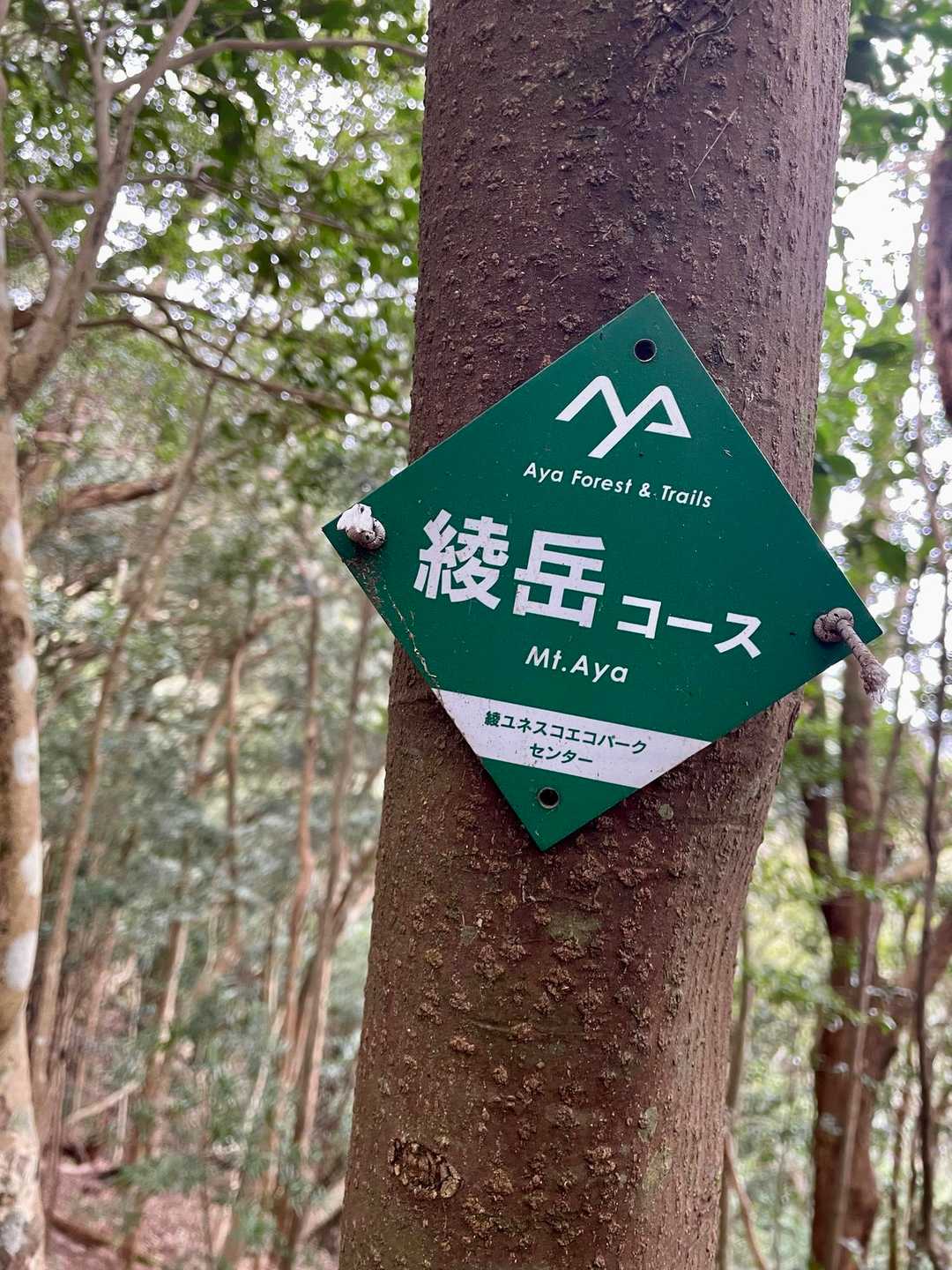 綾岳コース