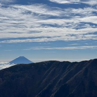 南アの特典は富士山。