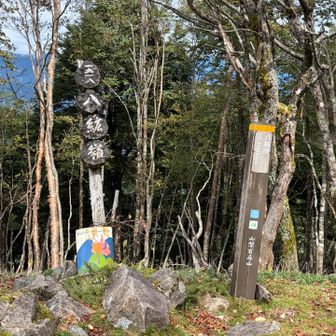 久しぶりの八紘嶺。
山頂は、風があり汗が冷えてきて寒かった。