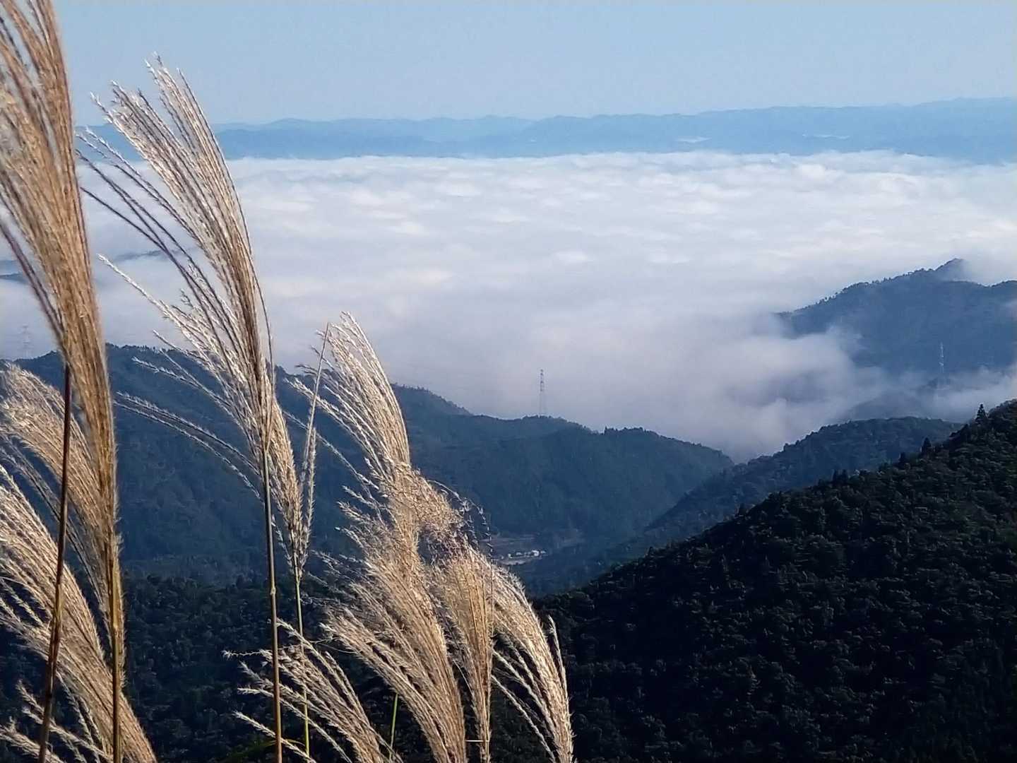 満足