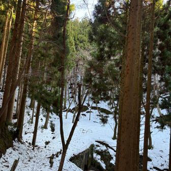 登山口まで下りてきました✌️早〜い😁