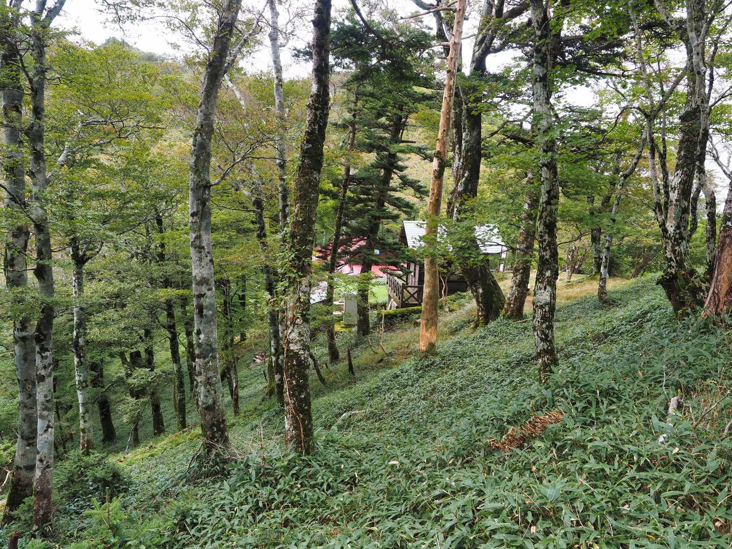 稲村ヶ岳山荘