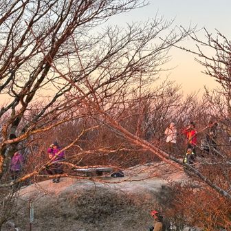 ほんのり染まっている