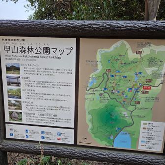 公園の駐車場がいくつかありますが、けっこういっぱいです🚙