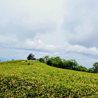 頂上のその周りのお花畑(熊笹が？)で、持ってきた茹でトウモロコシを食べる。とてものどか。
大台ケ原は雲に包まれてる。もうすぐここも雨かな。
