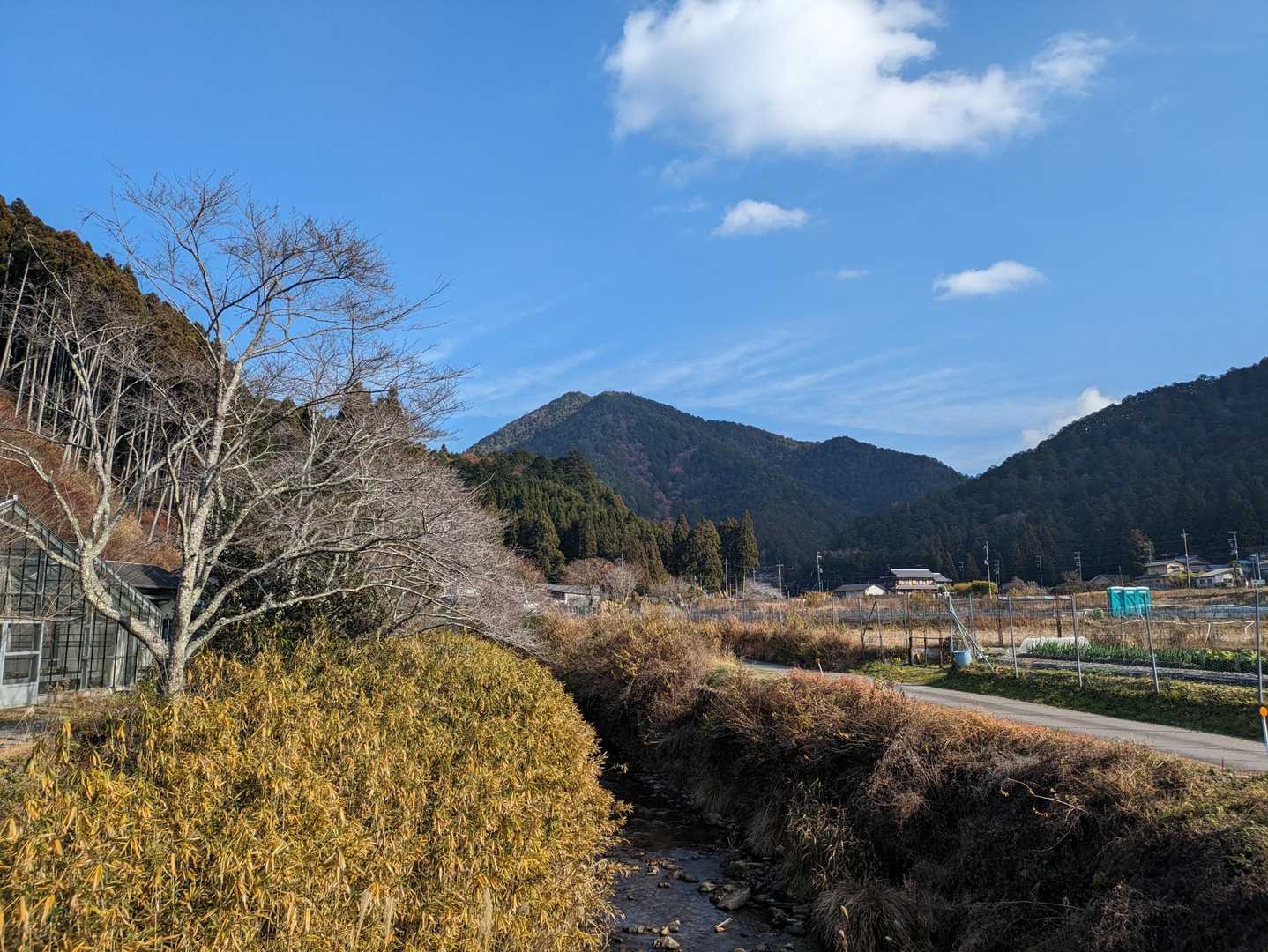 のどかな里山