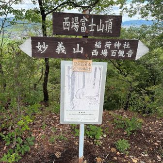 今日は西場富士まで長く感じました💦