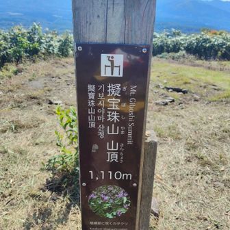 擬宝珠山 山頂👍