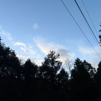 もう明るくなってきてしまった💦