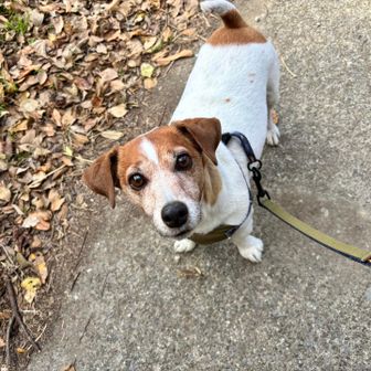 早く〜くれっ‼︎