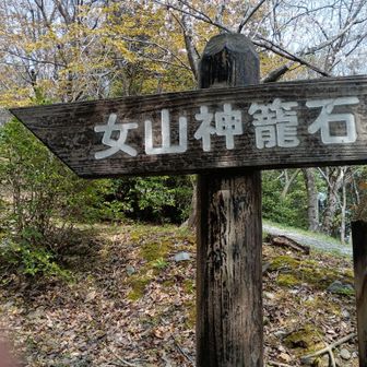 ぞやまこうごいし