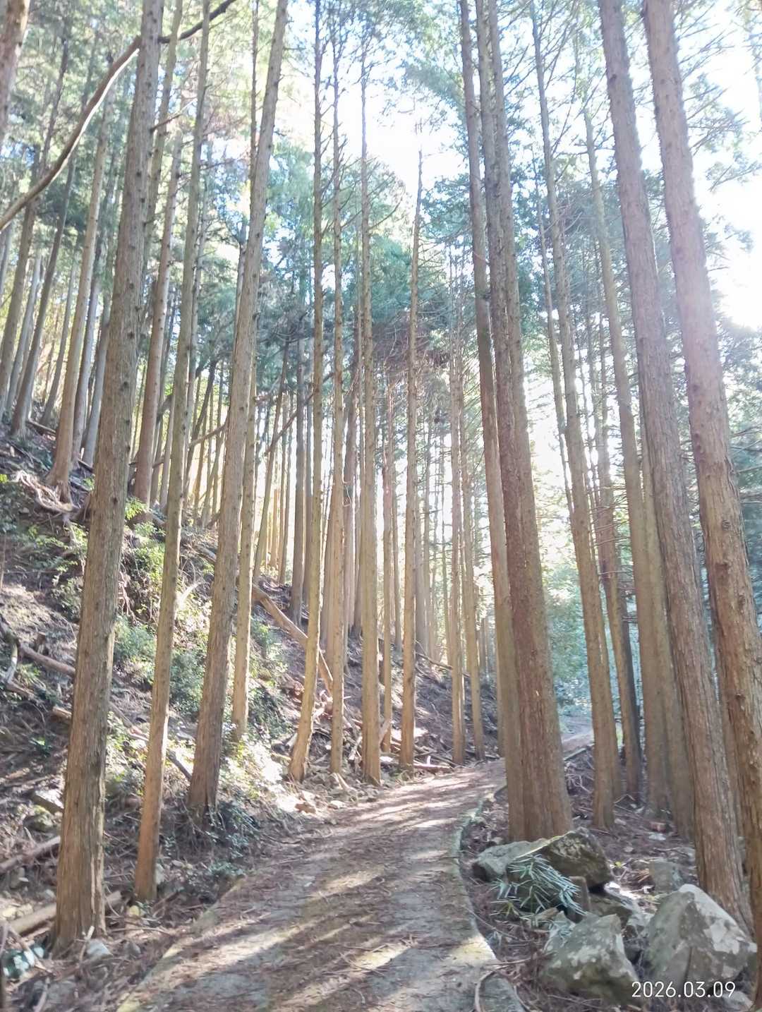 気持ちを切り替えて楽しみながら歩きます🤗