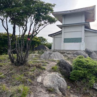 やっと
