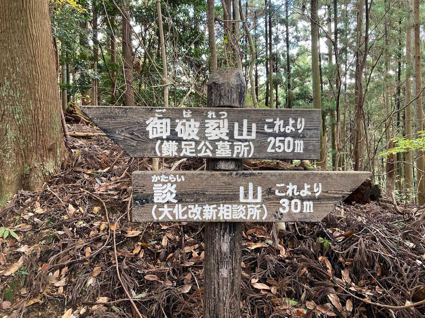 ごはれつざん　かたらいやま
大化の改新の密談が行われた場所が
かたらいやま　かたらいやまから
談山神社たんざんじんじゃに
なったようです。