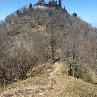 上宮、遠くから見ても素敵✨