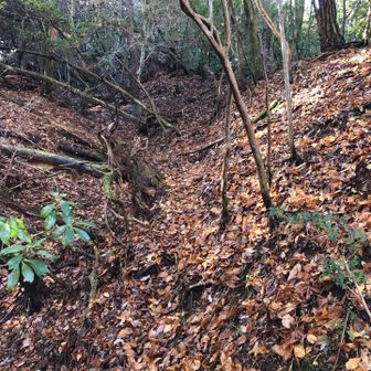 最初は歩きにくいですが、