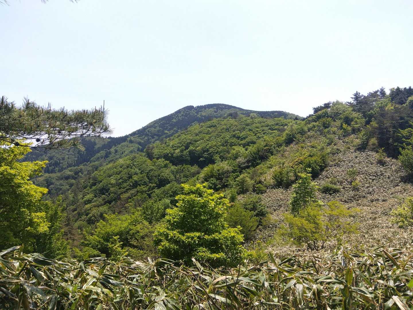 あそこまで登り返します😥