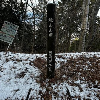 普通にザックが重く、ミドルカットの靴ではスピード上がらね〜とブツブツ言いながら