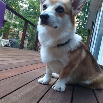 Kazu-Hiro