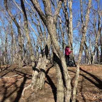 トクモリ。山頂標なし。
