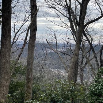 天覧山や多峯山方面も見えます。