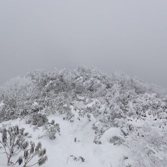 20分ぐらい耐えてみたが好天の兆しは全く無し🤣気持ちはもう温泉♨️に向かっていたので女岳はパスして下山開始